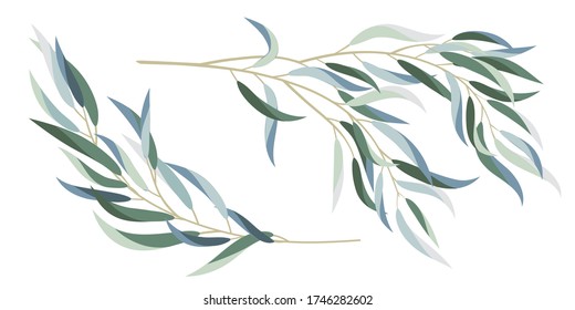 Set of decorative eucalyptus branches. Decorative branches and leaves. Design elements for decoration. Vector illustration.