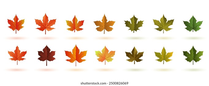 Conjunto de Vector de diseño de hojas de otoño plano decorativo