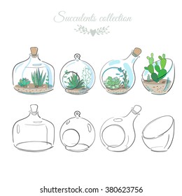 set of decorative floral compositions with succulents in glass vases and bottles, vector floral illustrations
