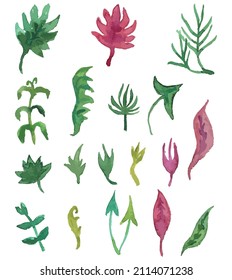 Set of decorative floral design elements of various plants