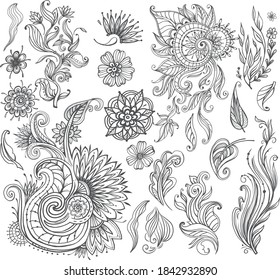 Conjunto de elementos florales decorativos para el diseño
