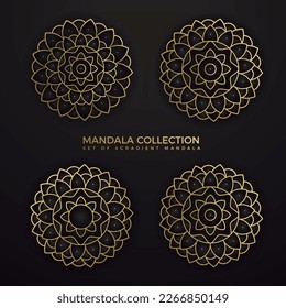 Set of decorative floral mandala vector illustration, arabic indian motif for interior design