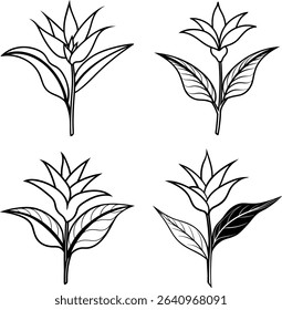 Set of Decorative Floral Outlines Featuring Various Beautiful Flower Designs