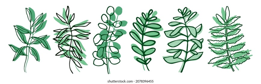 Set of decorative floral tree branches in line style isolated on white. Collection of modern botanical plants, herbs for the decoration of postcards, invitations, posters. Cartoon vector illustration.