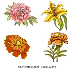 set of decorative flowers isolated on white background for design