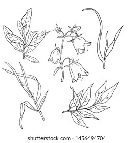 Set of decorative flowers and leaves elements isolated on white background. Hand drawn vector illustration.