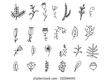 Set of decorative flowers on white background. Vector illustration