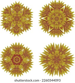 Un conjunto de flores decorativas, estrellas. Archivo vector para diseños.