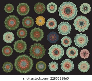 Un conjunto de flores decorativas, estrellas. Archivo vector para diseños.