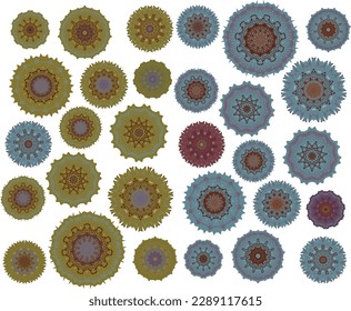 Un conjunto de flores decorativas, estrellas. Archivo vector para diseños.