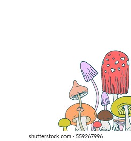 Set of decorative Forest mushrooms - vector hand drawn sketch. Collection of different mushrooms with roots, real edible and poisoned boletus. Decorative frame design
