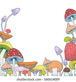 Set of decorative Forest mushrooms - vector hand drawn sketch. Collection of different mushrooms with roots, real edible and poisonous boletus.  Decorative frame design made with clipping mask