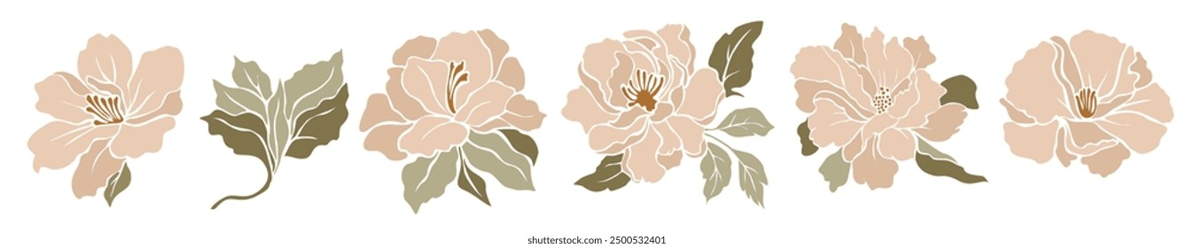 Set of decorative fresh blossoming pastel creamy peony flowers with leaves. Hand drawn colorful flower icon. Vector cut out illustration clipart isolated on white background.