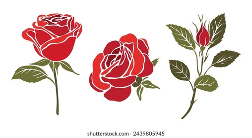 Set of decorative fresh blossoming red rose flower