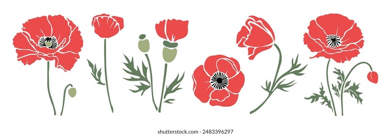 Set of decorative fresh blossoming red poppy flowers with steam and leaves. August birth flower Hand drawn colorful flower icon. Vector cut out illustration clipart isolated on white background.