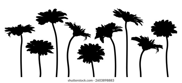 Set of decorative gerbera outline, bouquet for birthday decoration. Flower silhouette for banner, pattern. Isolated summer, spring flat Vector black element on white background EPS10	