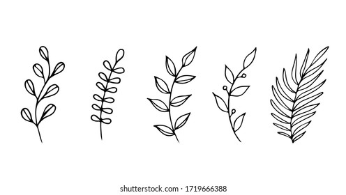 Conjunto de ramas decorativas dibujadas a mano, para invitación de boda, tarjeta de saludo, logotipo. Ilustración de vectores aislada en fondo blanco