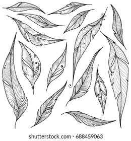 Set of decorative hand drawn ethnic feathers. Vector illustration