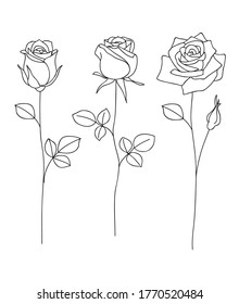 Set of decorative hand drawn roses isolated on white. Flower icon. Vector illustration