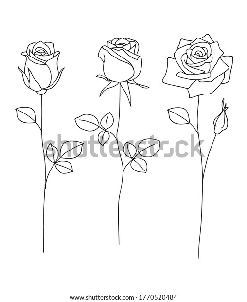 Set Decorative Hand Drawn Roses Isolated Stock Vector (Royalty Free ...