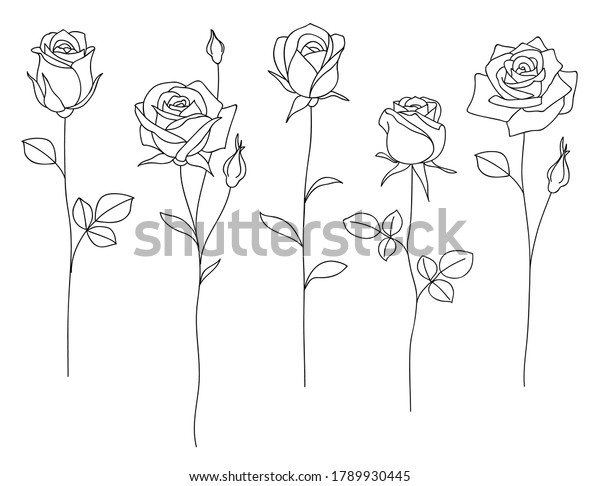 Set Decorative Hand Drawn Roses Isolated Stock Vector (Royalty Free ...