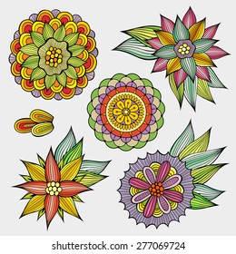 Set of decorative hand drawn vector floral design elements