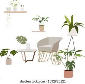 Set of decorative house plants.