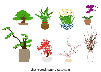 Set of decorative house plants in Chinese or Japanese style. Asian indoor plants. Lucky plants and flowers for Chinese new year. Bonsai, bamboo, narcissus,  orchids, Japanese maple, cherry blossoms.