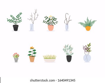 Set of decorative house plants. Flowerpot isolated objects, houseplant flower pot collection.