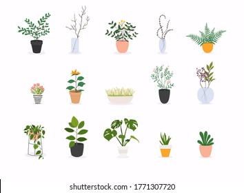 Set of decorative house plants. Flowerpot isolated objects, houseplant flower pot collection.