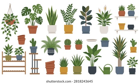 Set of decorative house plants including monstera snake plant fern cactus and succulent in modern ceramic pots arranged with wooden furniture for home decor.