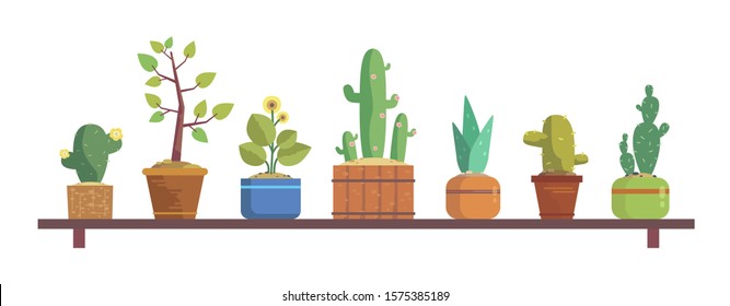 Set of decorative house plants in pots on the shelf, isolated on white background. Interior plant, vector, flat icon design. Cactus, aloe, palm, flower, small tree, lemon plant