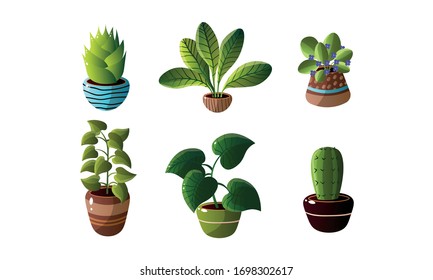 Set of decorative house plants in pots. Vector illustration in flat cartoon style.