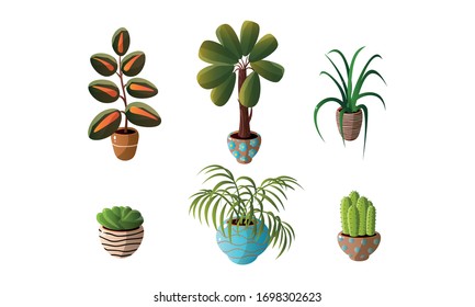 Set of decorative house plants in pots. Vector illustration in flat cartoon style.