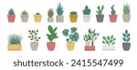 Set of decorative houseplants. Collection trendy plants and nature homemade flowers in pot interior decoration in flat style. Vector illustration on white background