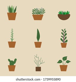 Set of decorative houseplants isolated and beautiful natural home decorations. Vector illustration.