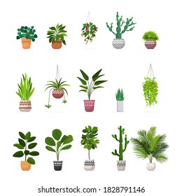 set decorative houseplants planted in ceramic pots different garden potted plants collection isolated vector illustration