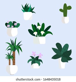 Set of decorative houseplants. Plants and nature homemade flowers in pot interior decoration in flat cartoon style. Vector illustration