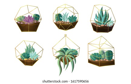 Set of decorative houseplants in pots. Vector illustration in flat cartoon style.