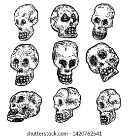 Set of decorative human skulls in different directions, hand drawn illustration. Stylized drawing of decorative witchcraft, voodoo magic attribute. Illustration for Halloween. Vector.
