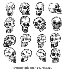 Set of decorative human skulls in different directions, hand drawn illustration. Stylized drawing of decorative witchcraft, voodoo magic attribute. Illustration for Halloween. Vector.