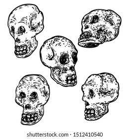 Set of decorative human skulls in different directions, hand drawn illustration. Stylized drawing of decorative witchcraft, voodoo magic attribute. Illustration for Halloween. Vector.