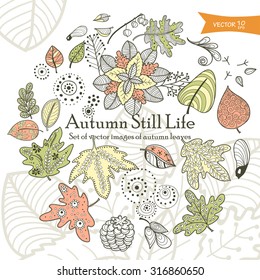 set of decorative images of autumn leaves in cartoon style