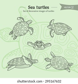 set of decorative images of sea turtles