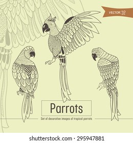 set of decorative images of tropical parrots