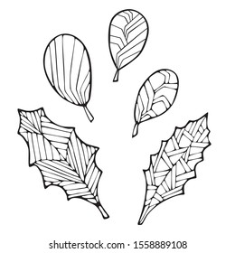 Set of decorative leaf with decor on white isolated background. Suitable for coloring book pages.