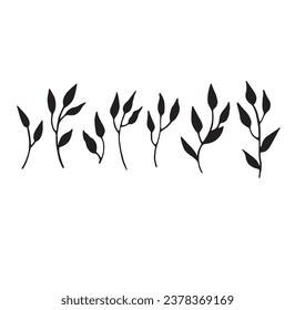 Set of decorative leaf silhouette. Collection sketch twigs. Hand drawn vector floral elements.