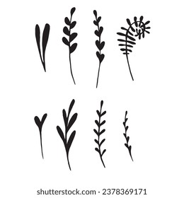 Set of decorative leaf silhouette. Collection sketch twigs. Hand drawn vector floral elements.
