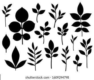 Set of decorative leaf silhouette. Different vector branches. Simple stencils