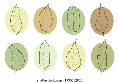 Set of Decorative Leaves. Swatches Color and Shape Leaves. Hand drawn decorative elements. Natural colors.Ink painting style.Minimalistic elegant concept. Vector illustration.Isolated shapes on white 